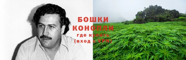 дурь Алексеевка