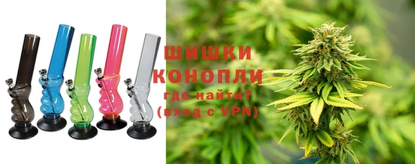 PSILOCYBIN Алзамай