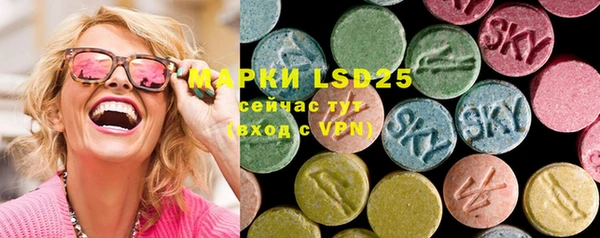 PSILOCYBIN Алзамай