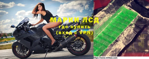 PSILOCYBIN Алзамай