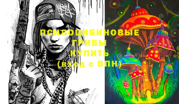 дурь Алексеевка