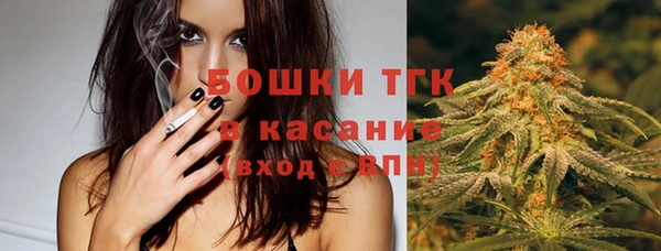 PSILOCYBIN Алзамай