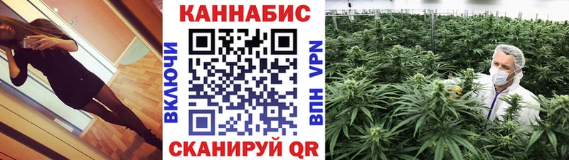 где купить наркоту  Москва  Бошки Шишки конопля 